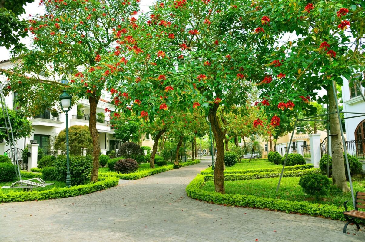 AnKhang Property